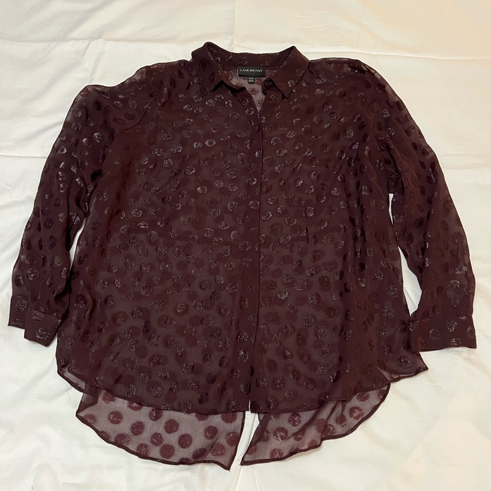 Lane Bryant sheer blouse, size 18/20